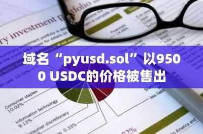 域名pyusd.sol以9500 USDC價(jià)格售出，凸顯數(shù)據(jù)處理與存儲服務(wù)領(lǐng)域增長潛力